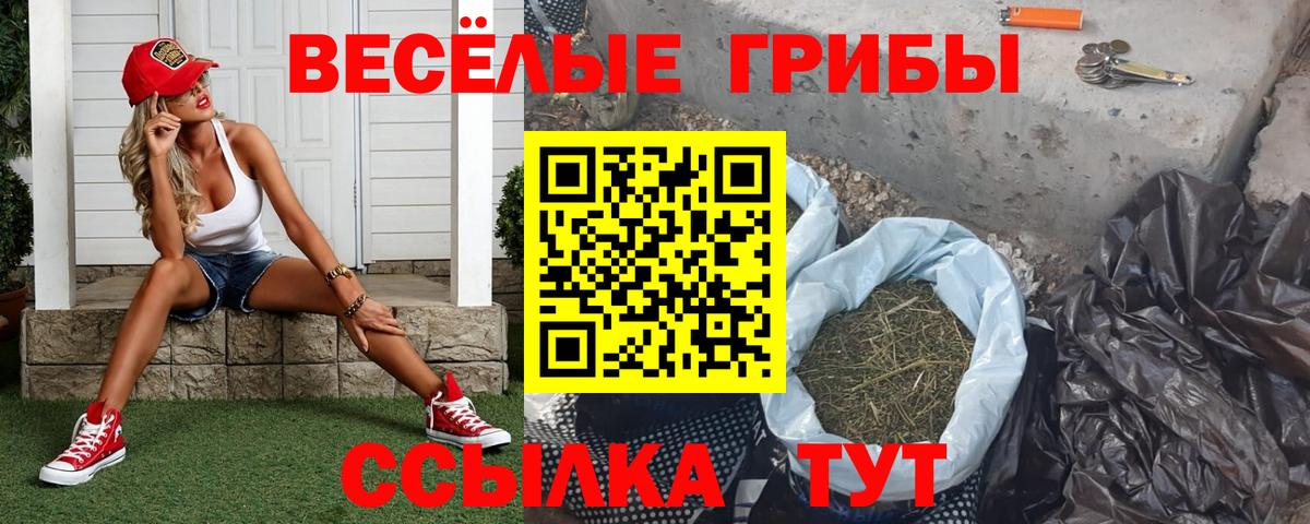 Новозыбков  Галлюциногенные грибы Magic Shrooms  Вход с VPN  Псилоцибиновые грибы MAGIC MUSHROOMS 